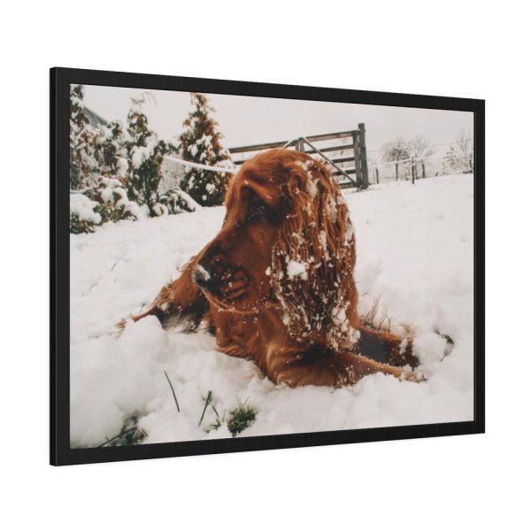 Dog Lying on Snow Framed Poster