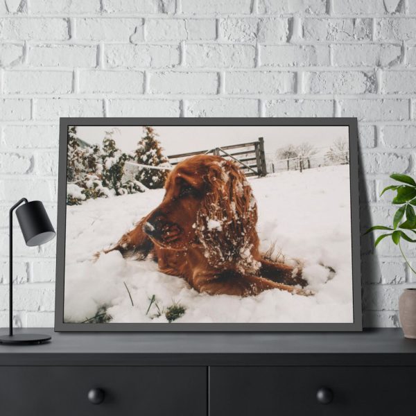 Dog Lying on Snow Framed Poster