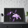 Purple Lily Framed Poster