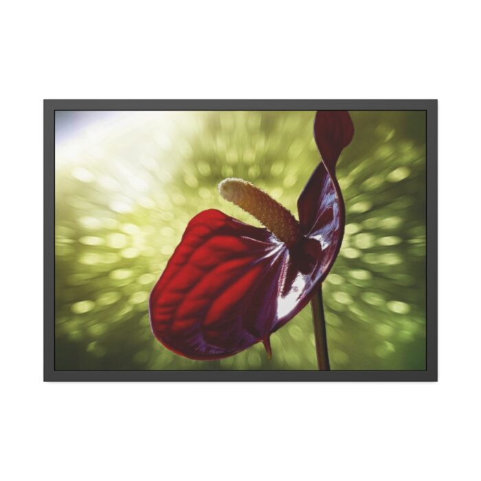Red Lily Framed Poster - Image 5