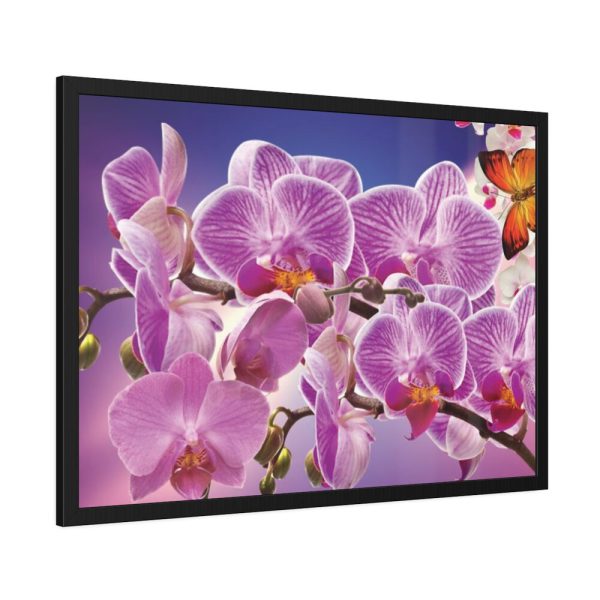 Orchids Flowers Framed Poster