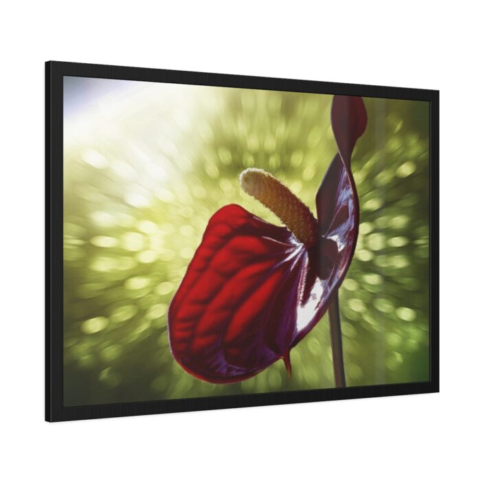 Red Lily Framed Poster - Image 6