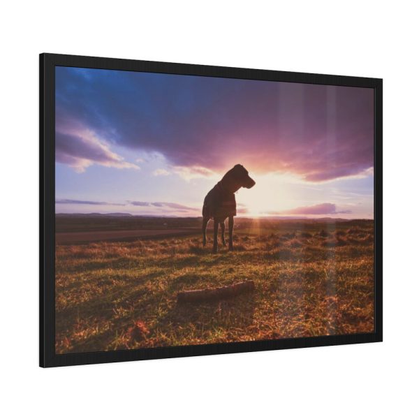 Free Dog at Sunset Framed Poster