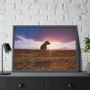 Free Dog at Sunset Framed Poster