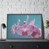 Purple Orchid  Framed Poster