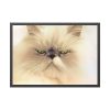 93855-180.jpg Angry Persian Cat Framed Poster