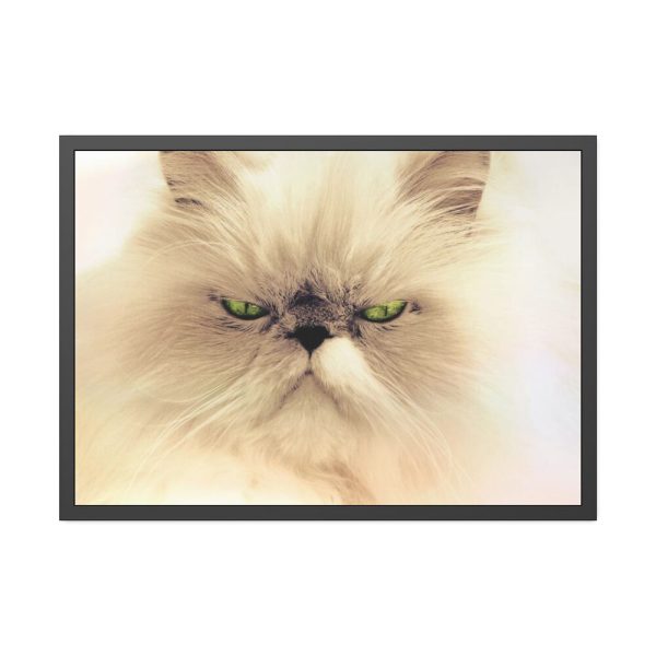 93855-180.jpg Angry Persian Cat Framed Poster
