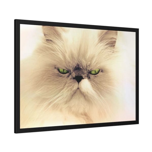 93855-181.jpg Angry Persian Cat Framed Poster