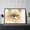93855-183.jpg Angry Persian Cat Framed Poster
