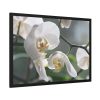 White Orchid Framed Poster