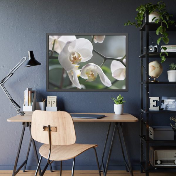 White Orchid Framed Poster
