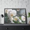 White Orchid Framed Poster