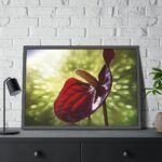 Red Lily Framed Poster - Image 8