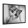 93855-201.jpg Kitten and Finger Framed Poster