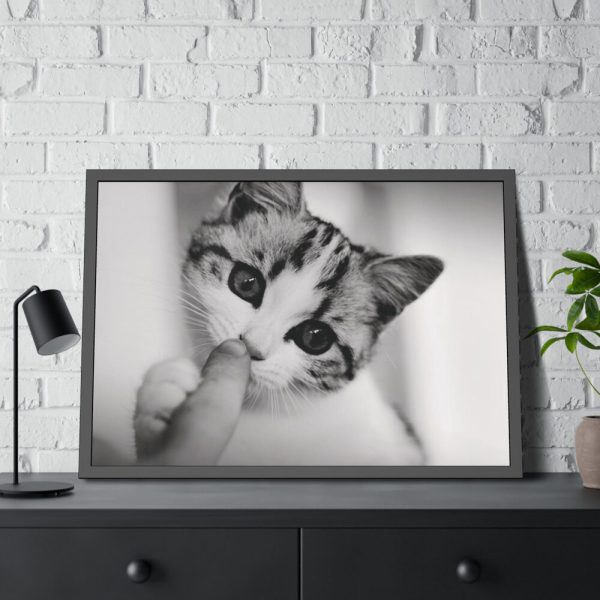 93855-203.jpg Kitten and Finger Framed Poster