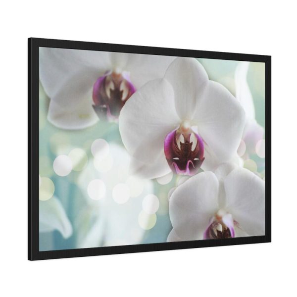 Flowering Plant Framed Poster