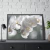 Orchids Elegant Framed Poster