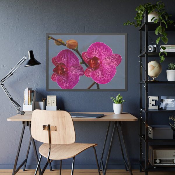 Pink Moth Orchid Framed Poster