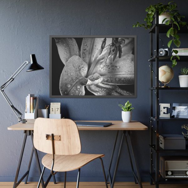 Black and White  Framed Poster