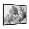 93855-229.jpg Orchid Meadow Framed Poster