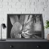 Black and White  Framed Poster