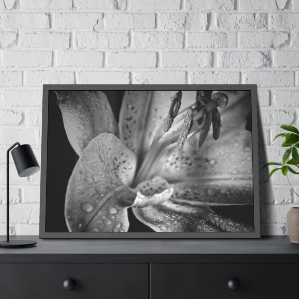 Black and White  Framed Poster