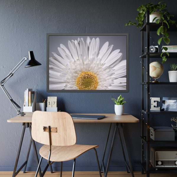 93855-234.jpg White Daisy Framed Poster