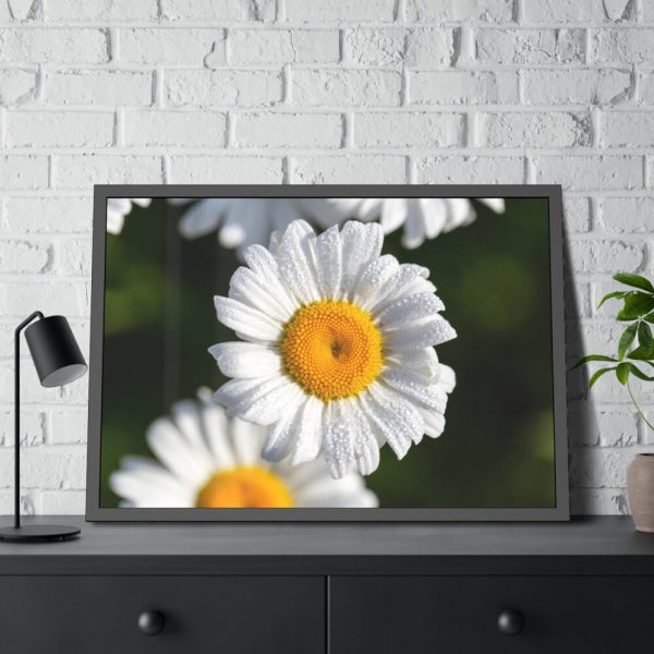 93855-239.jpg White Daisy Flower Framed Poster