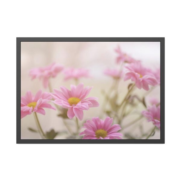 93855-240.jpg Blooming Pink Daisies Framed Poster