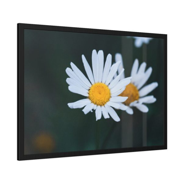 93855-249.jpg Wild Daisy Framed Poster