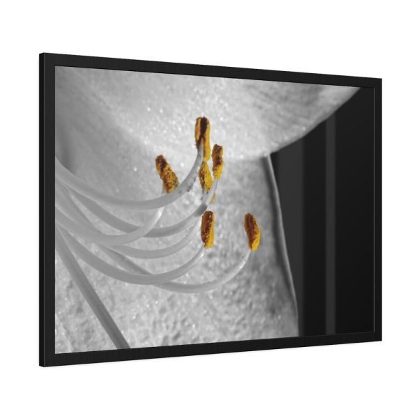 Bloom Lily Framed Poster