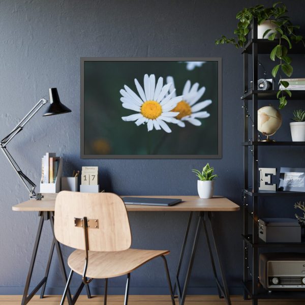 93855-250.jpg Wild Daisy Framed Poster