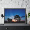 93855-263.jpg Elephant and Sunset Framed Poster