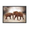 93855-264.jpg African Elephants Framed Poster