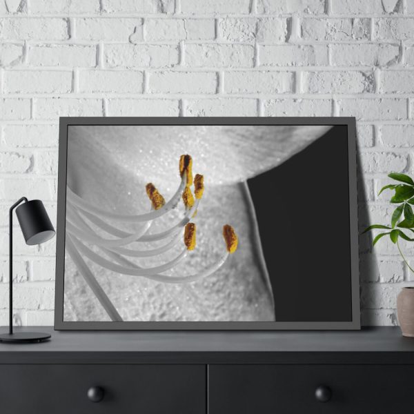 Bloom Lily Framed Poster