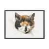93855-280.jpg Head of a Calico Cat with Closed Eyes by Jean Bernard Framed Poster