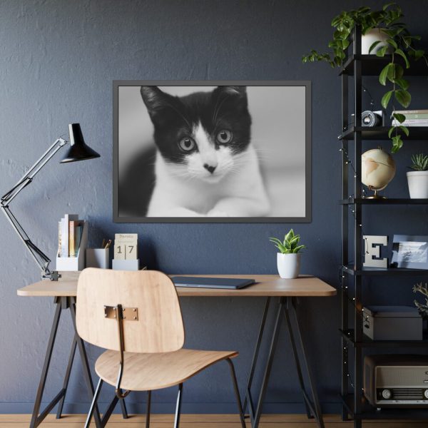 Bicolor Cat Framed Poster