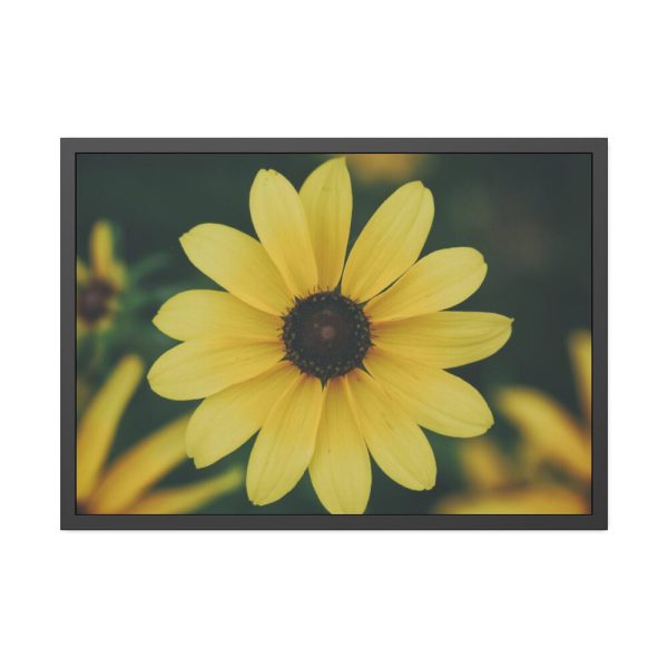 93855-292.jpg Blooming Yellow Petaled Flowers Framed Poster
