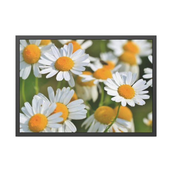 White Flowers Framed Poster