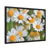 White Flowers Framed Poster