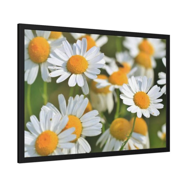 White Flowers Framed Poster