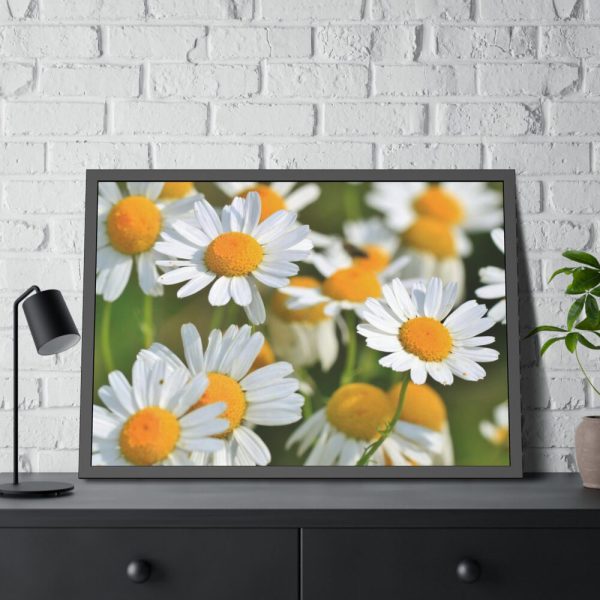 White Flowers Framed Poster