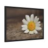93855-301.jpg Daisy Family Framed Poster