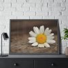 93855-303.jpg Daisy Family Framed Poster