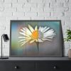 93855-307.jpg Flowering Plant Framed Poster