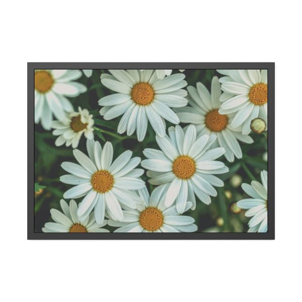 93855-316.jpg Blossom Daisy Framed Poster