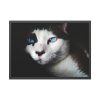 93855-320.jpg Bicolor Cat with Piercing Blue Eyes Framed Poster