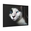93855-321.jpg Bicolor Cat with Piercing Blue Eyes Framed Poster