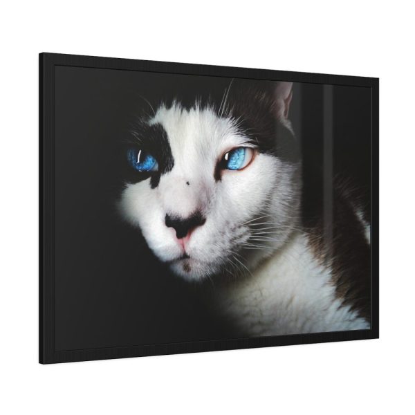93855-321.jpg Bicolor Cat with Piercing Blue Eyes Framed Poster