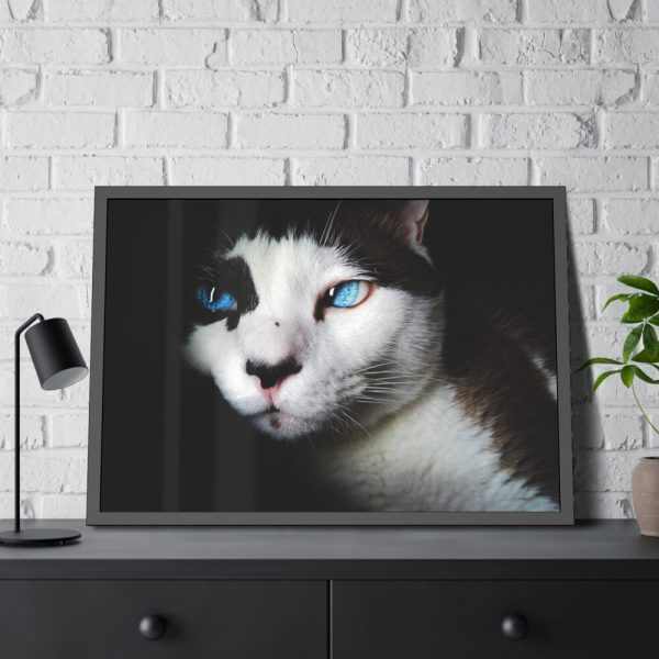 93855-323.jpg Bicolor Cat with Piercing Blue Eyes Framed Poster